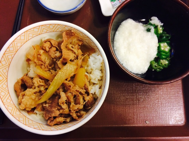 纪录日本一年的生活(((o(*ﾟ▽ﾟ*)o)))