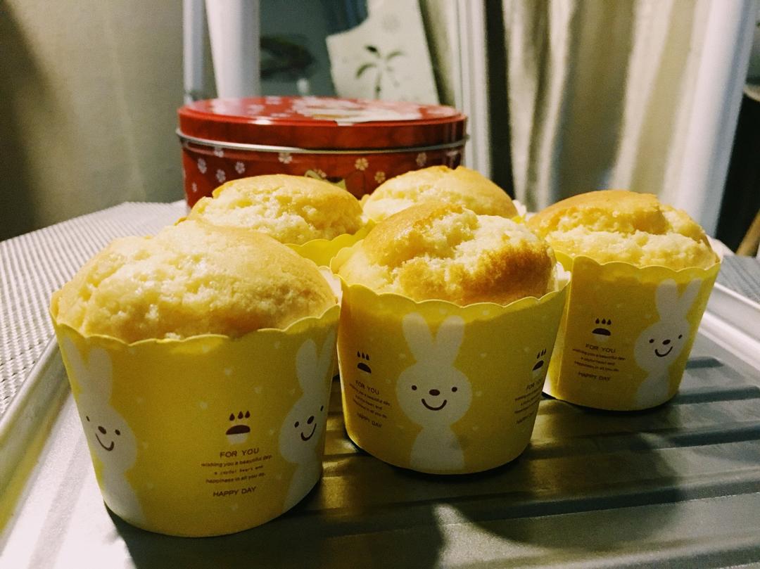 不会回缩的纸杯蛋糕--海氏烤箱定制