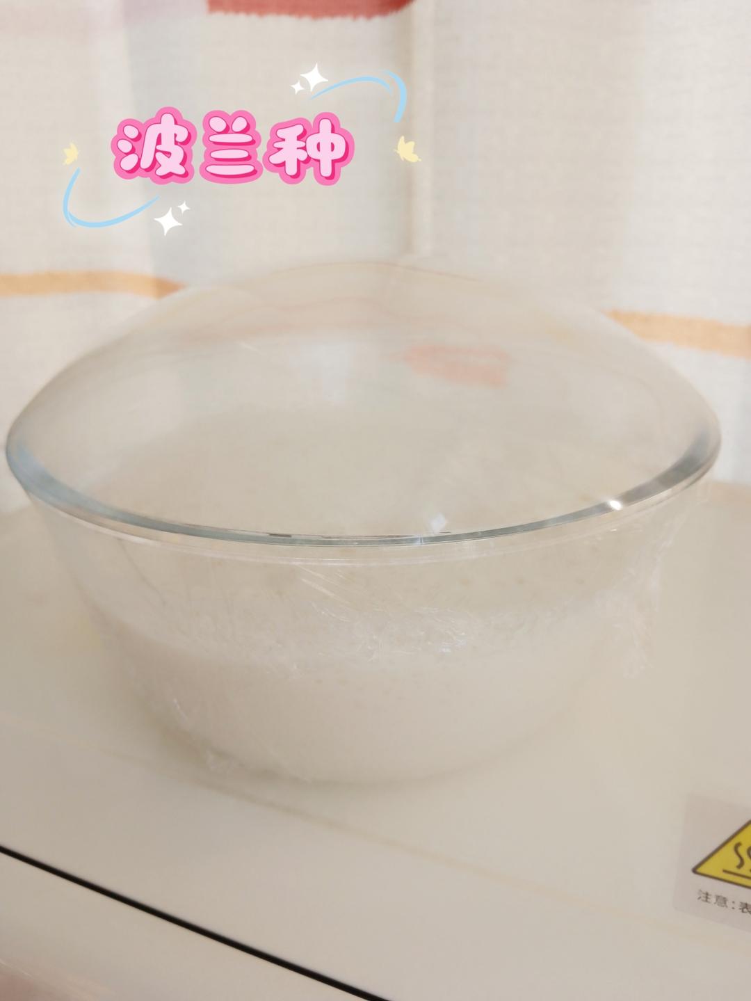 波兰种馒头
