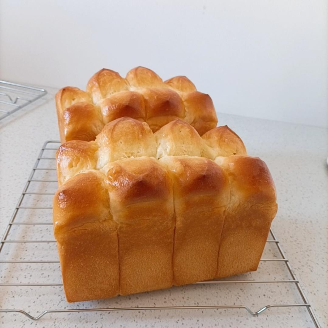 我的午餐铃响了