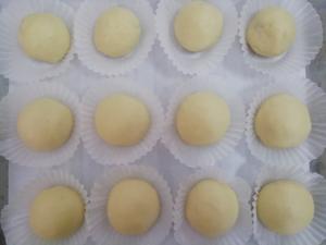 提子椰蓉面包(一次发酵)的做法 步骤3