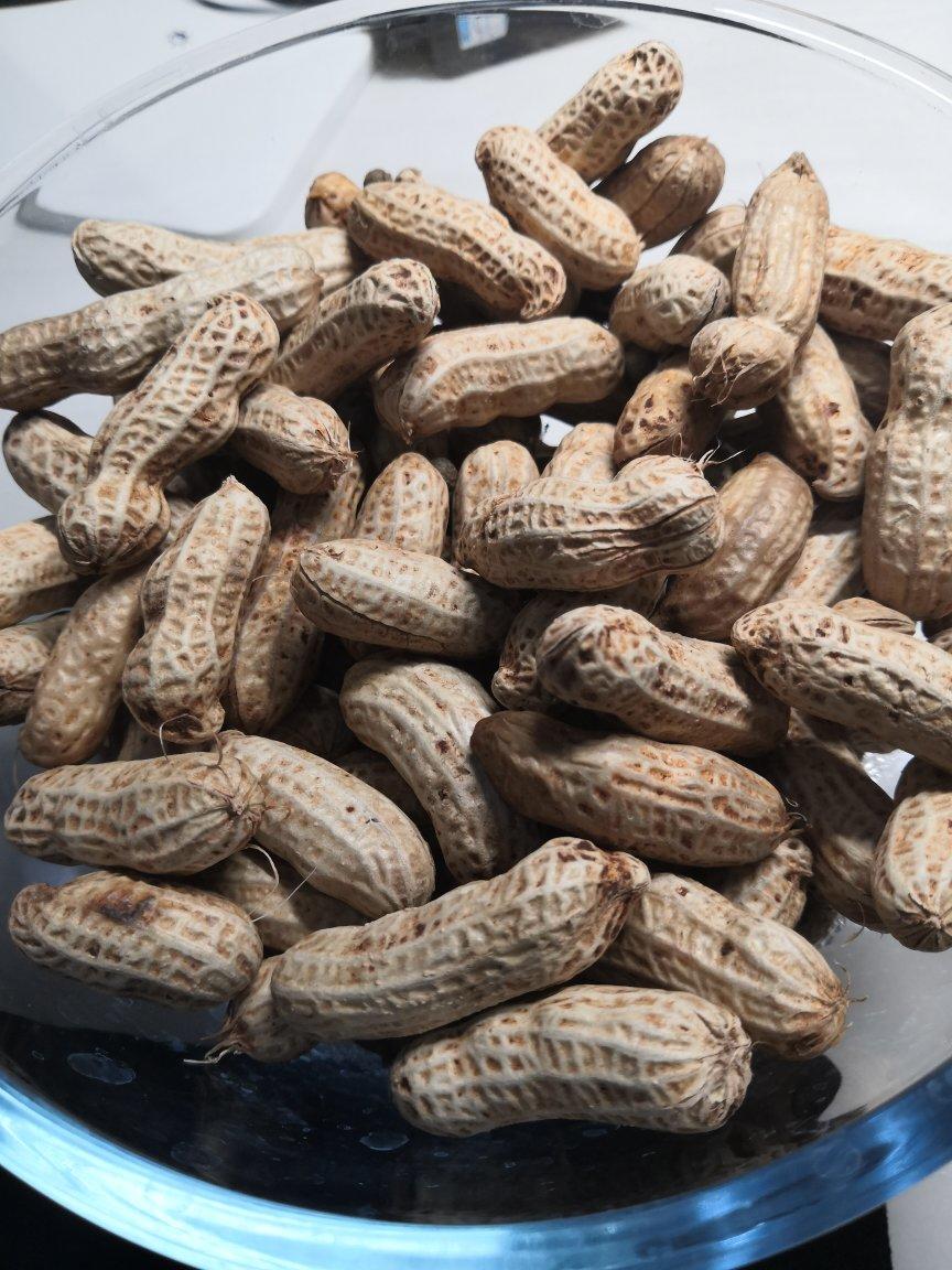 希望321做的水蒸鲜花生