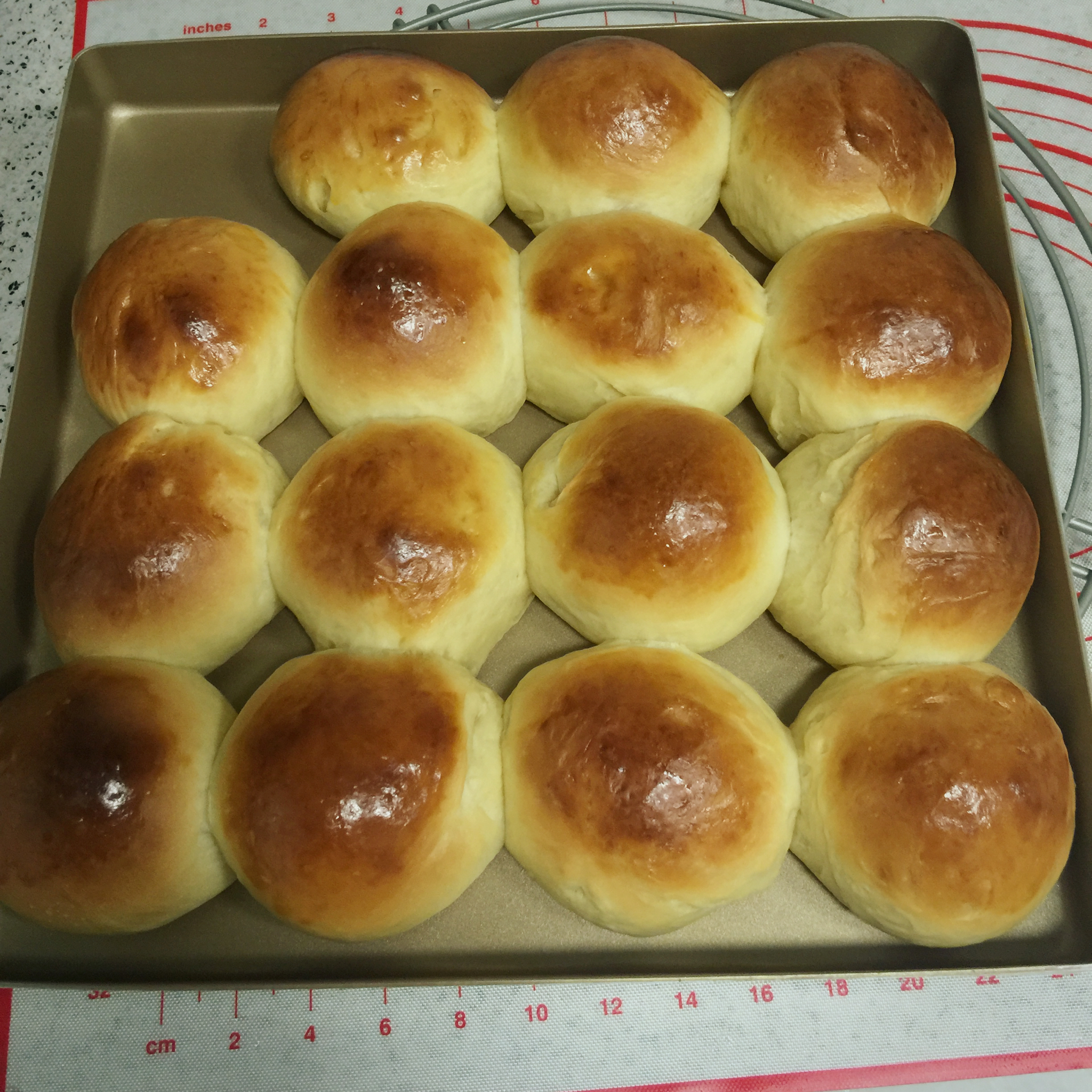 鲜奶油小餐包（一次发酵）