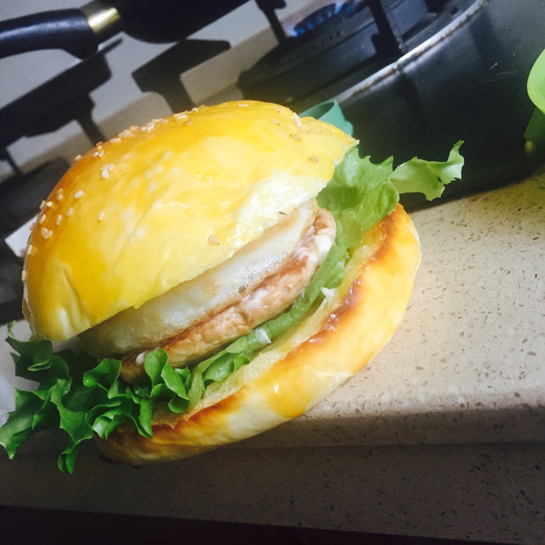 汉堡胚（中种法）