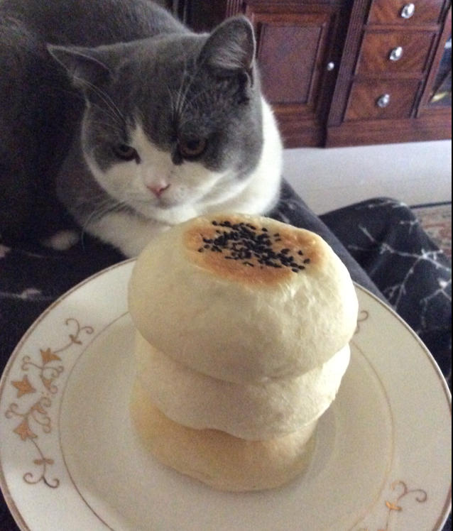 日式红豆包