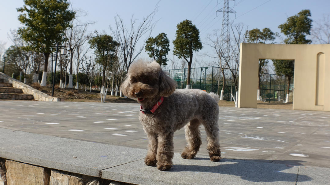 鹤岗老妹儿