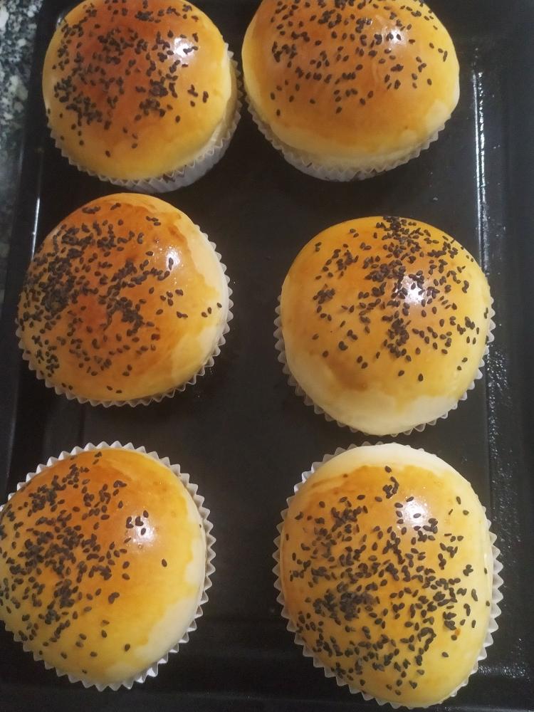 汉堡胚（中种法）