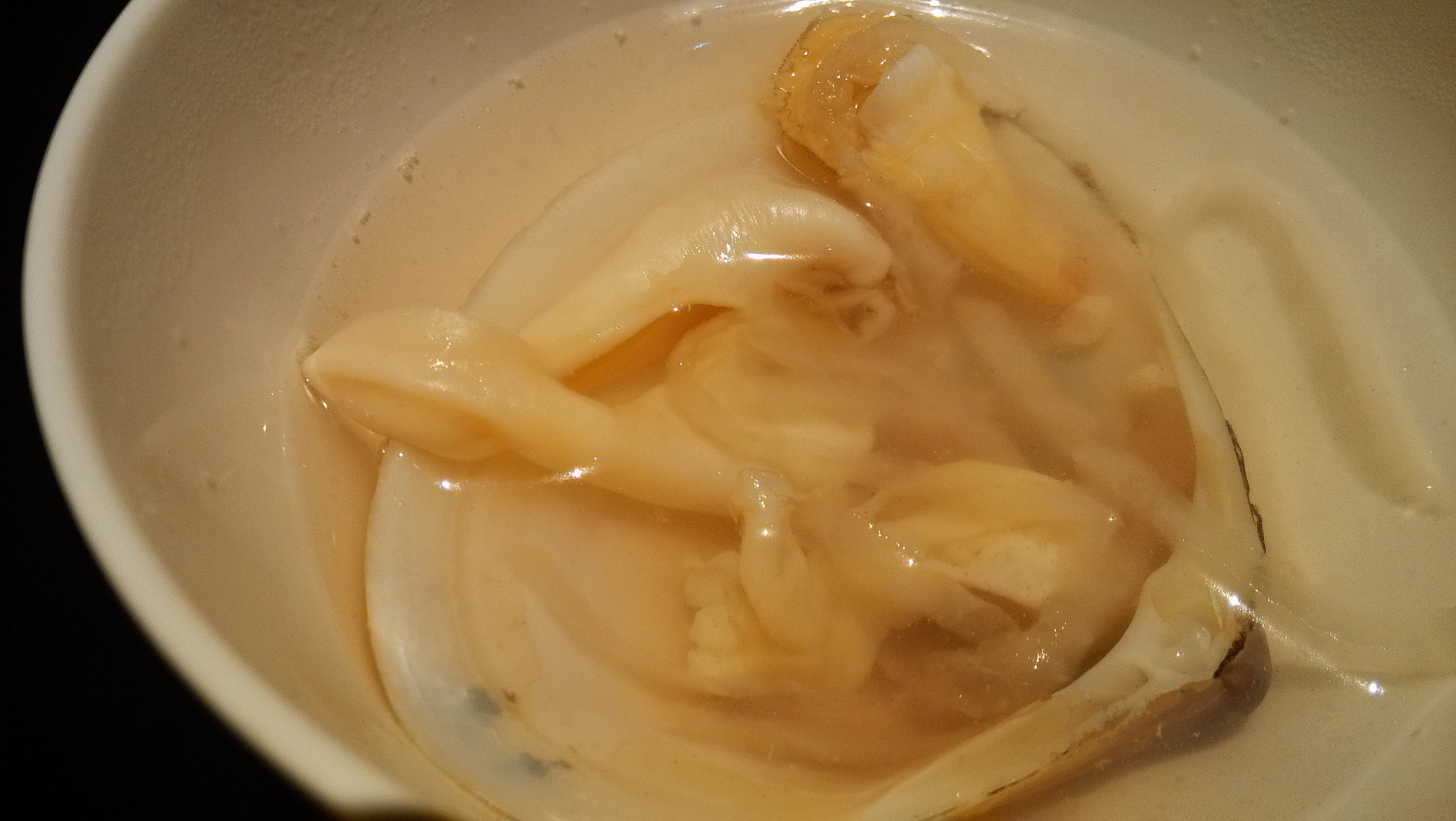 海蚌鲍鱼汤