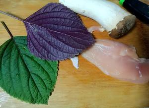 紫苏杏鲍菇鸡肉饼的做法 步骤1