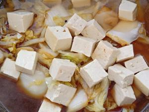 家常白菜粉条炖豆腐的做法 步骤6