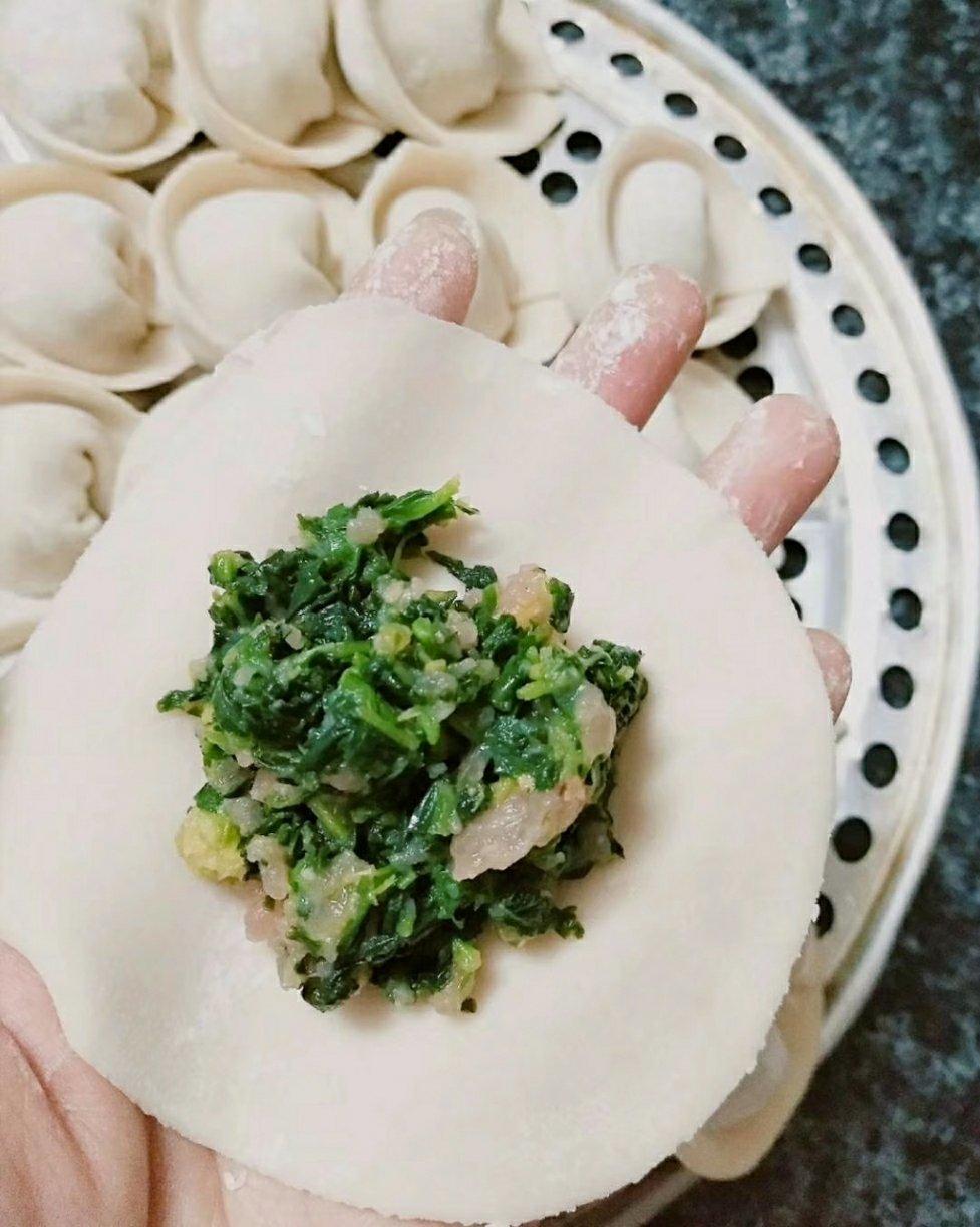 荠菜猪肉馄饨