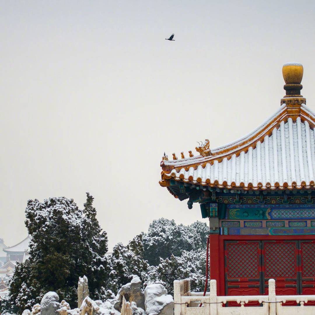 这就是生活_erin