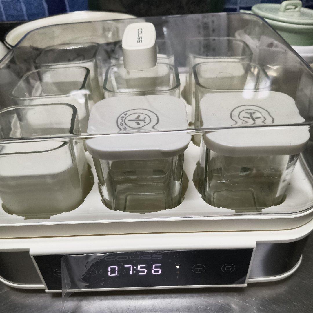 超级好吃的自制酸奶比例！——卡士酸奶在家做