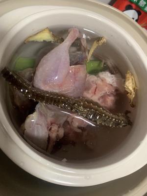 海马脊骨乳鸽汤（助生长）的做法 步骤1