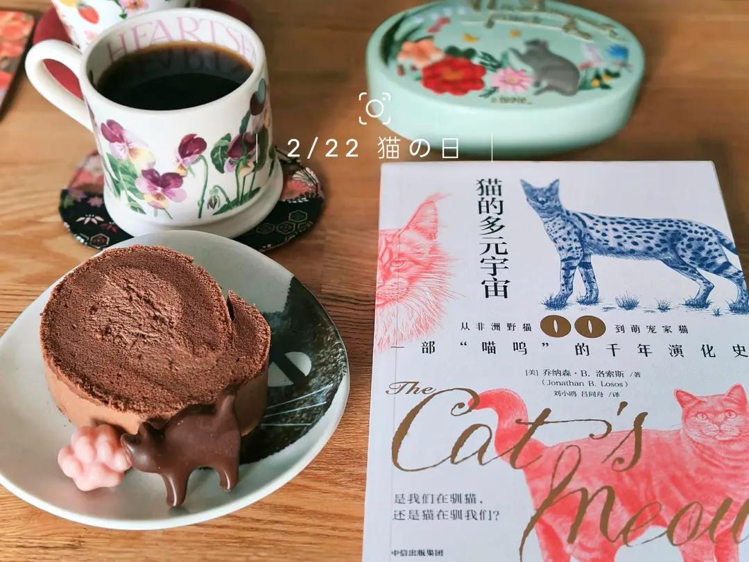 香浓巧克力蛋糕卷