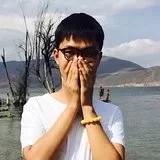 猪聪明z