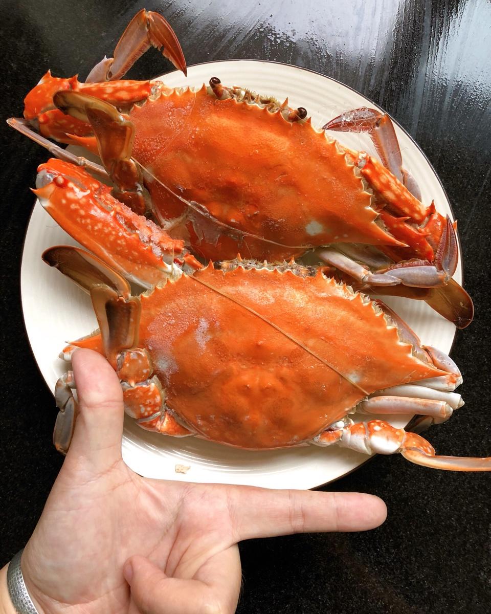 清蒸螃蟹（梭子蟹）
