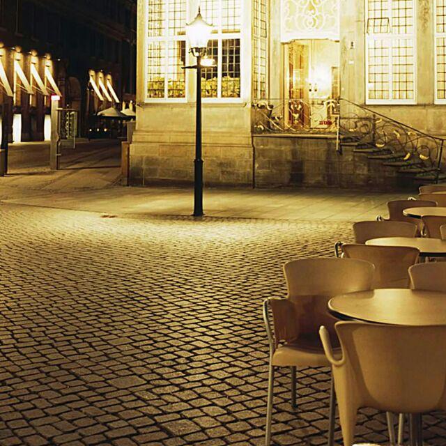 我家偷油吃的小老鼠