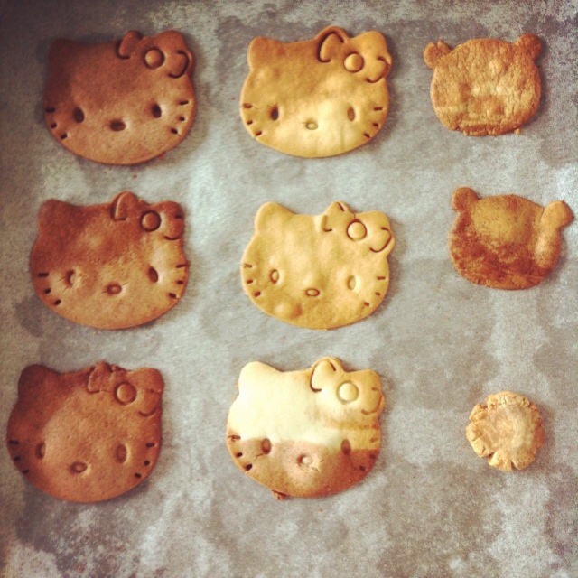 小熊猫饼干