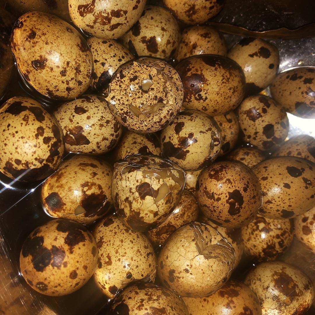 卤蛋 五香鹌鹑蛋 卤香鹌鹑蛋
