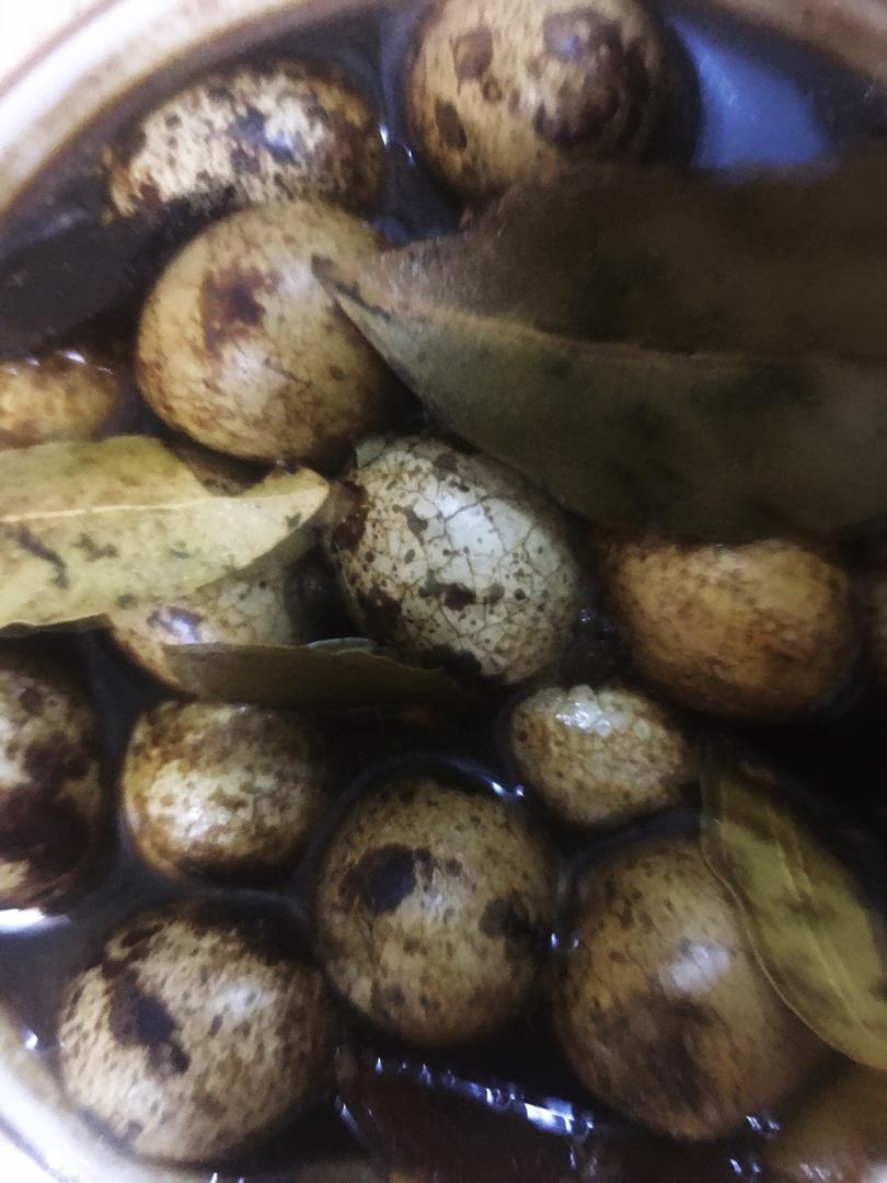 卤五香鹌鹑蛋（超简单版）