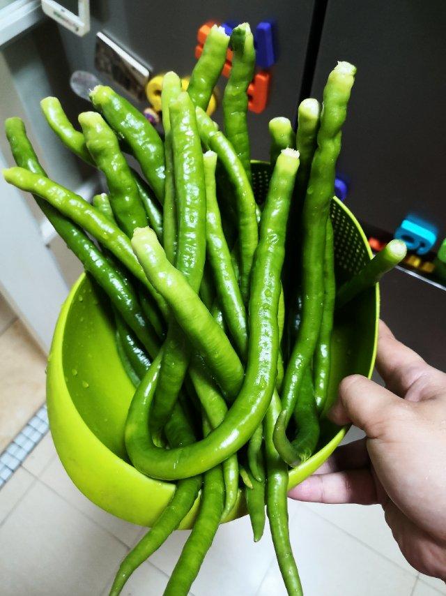 包心菜炒红薯粉丝