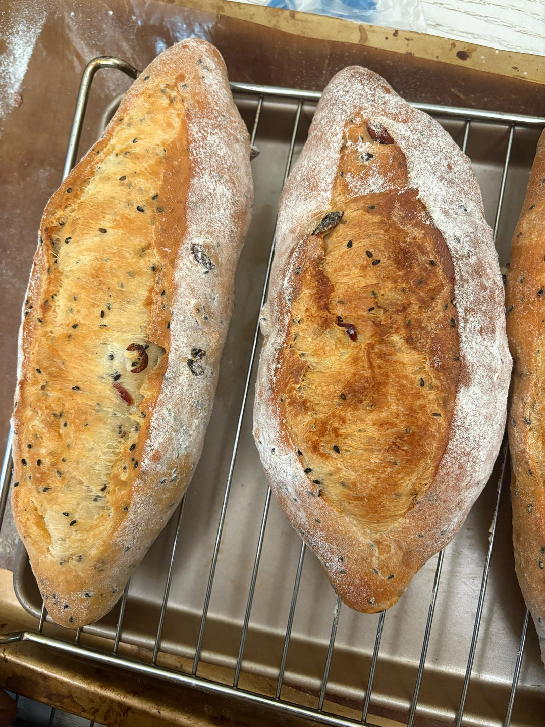 店售爆单🔥三天不变硬㊙️坚果全麦面包