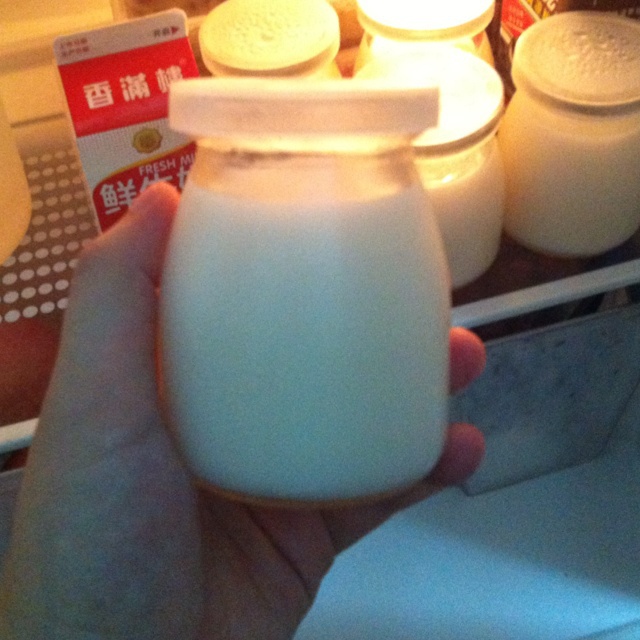 牛奶布丁