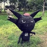 蔷薇花儿悄悄开