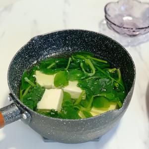 蔬菜汤/碗豆尖豆腐汤的做法 步骤5