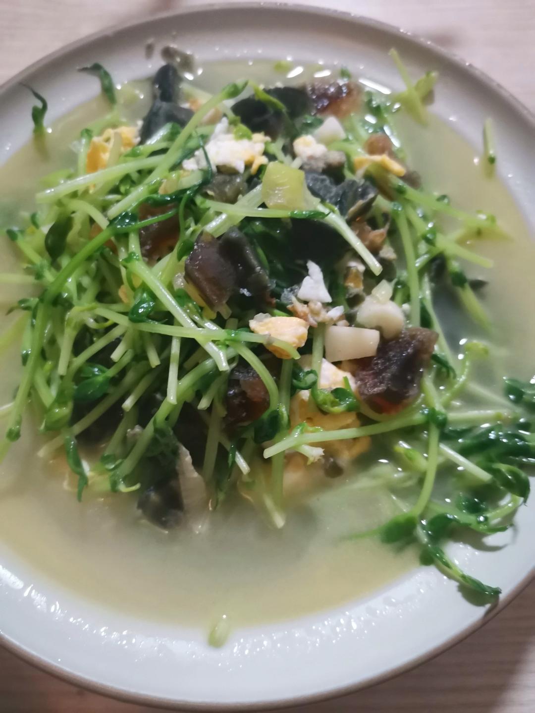 上汤豆苗