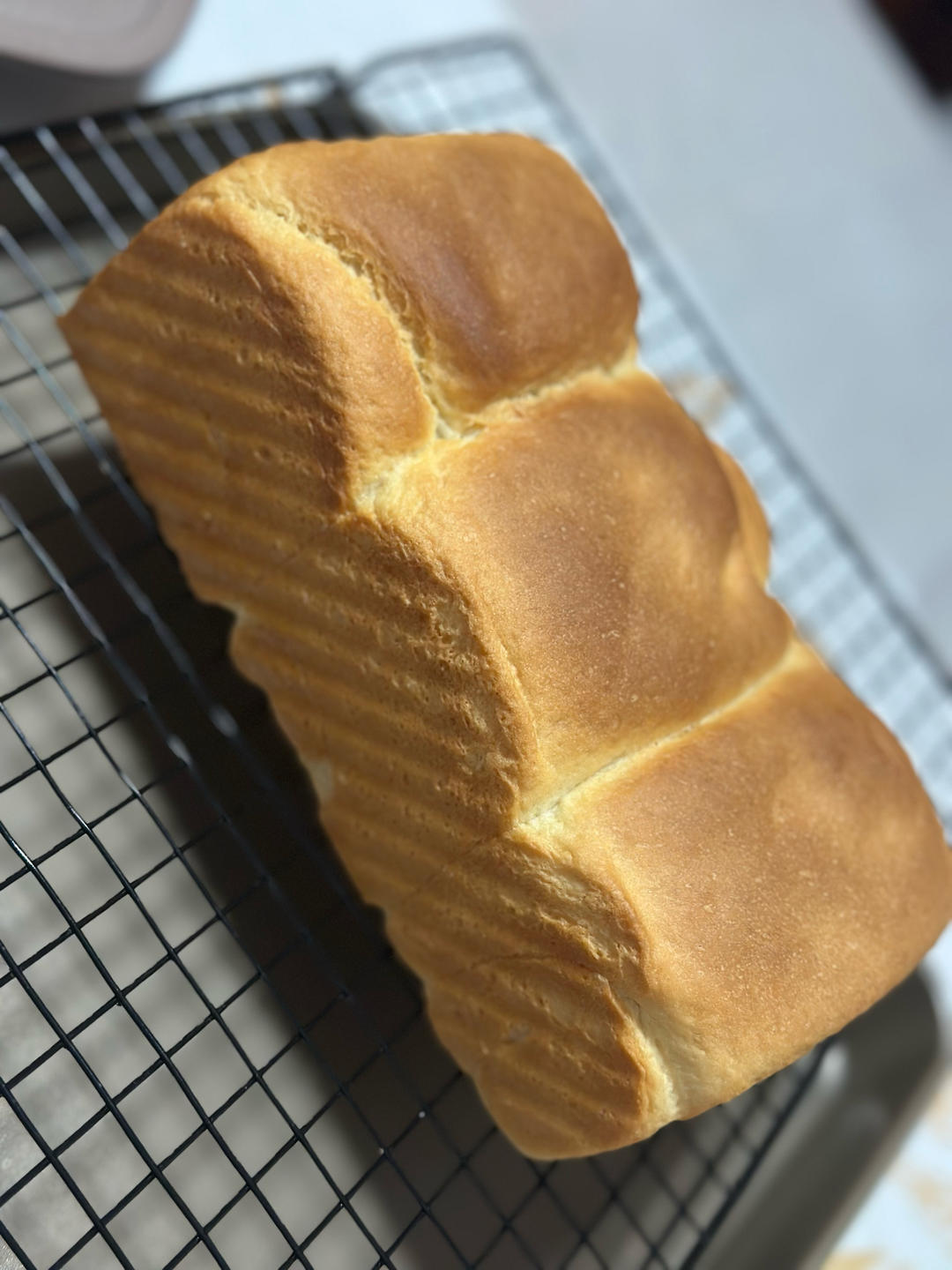 葡萄干吐司（超级拉丝一次性发酵）