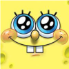 sunflower_mb0y