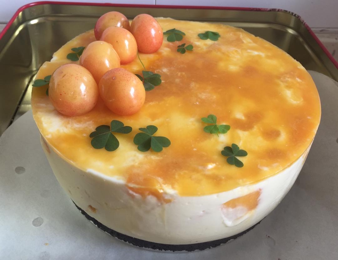 6寸酸奶慕斯 0失败