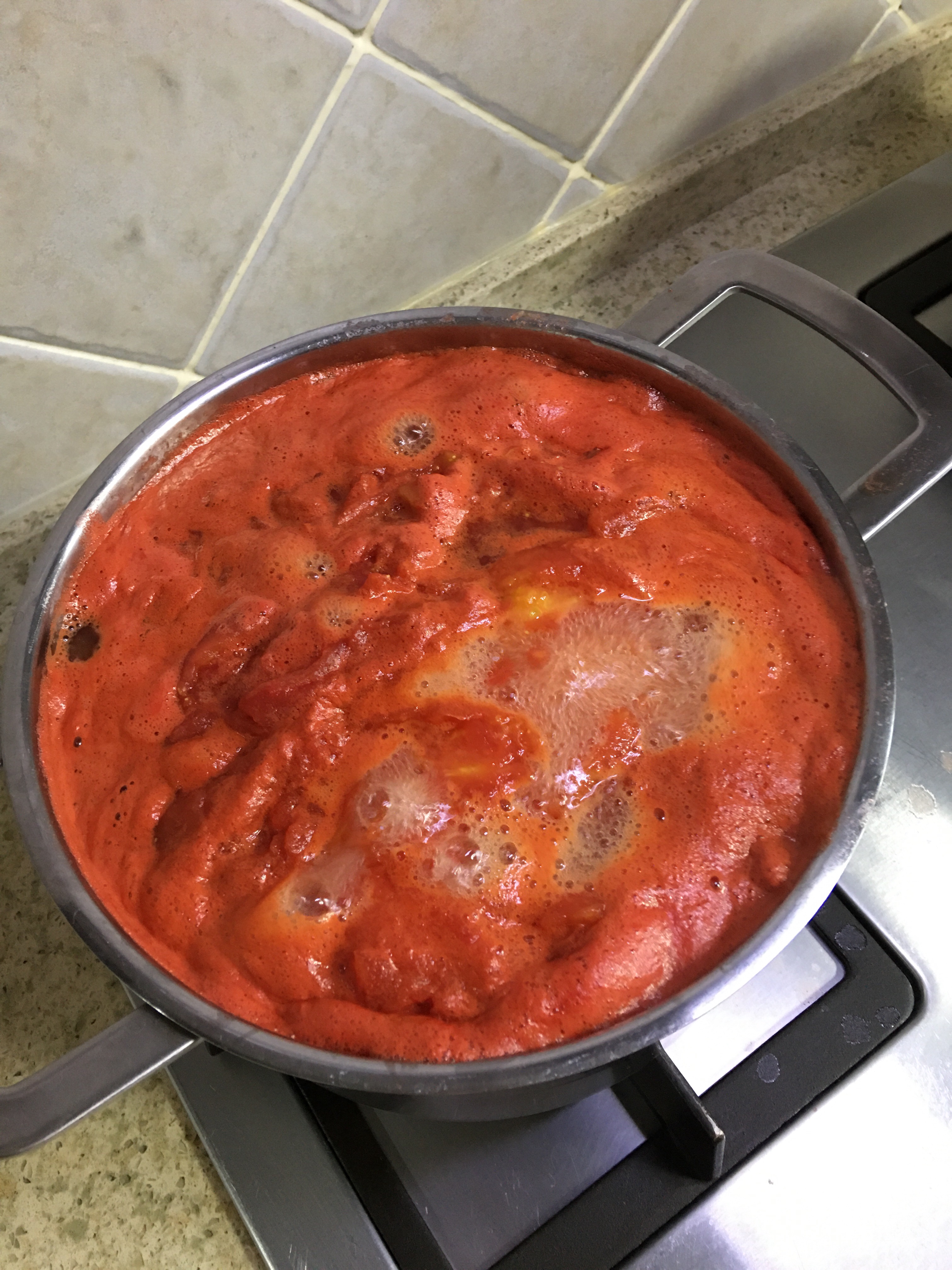 无添加西红柿酱，留住夏天西红柿的酸酸甜甜的做法 步骤4