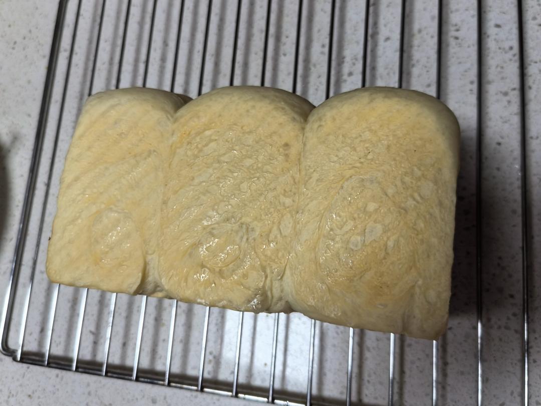 夺命软吐司(๑´ڡ`๑)超软拉丝极速方便的一次发酵吐司