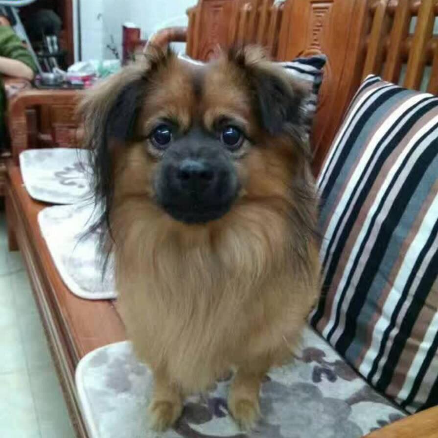Kerry小美