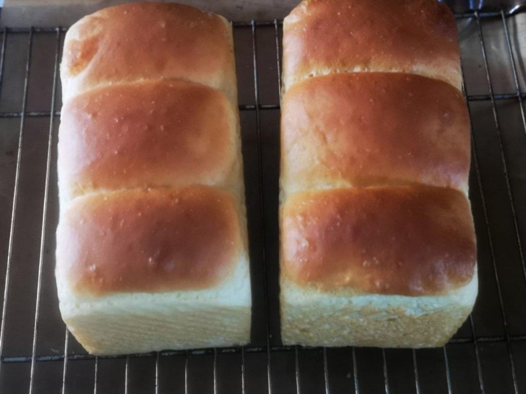 北海道吐司--100%中种