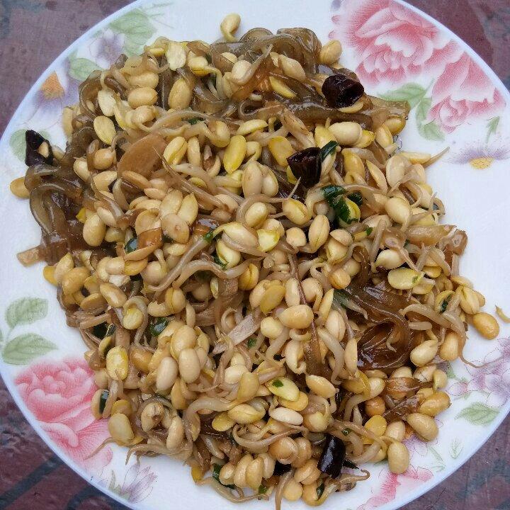 豆芽炒粉丝