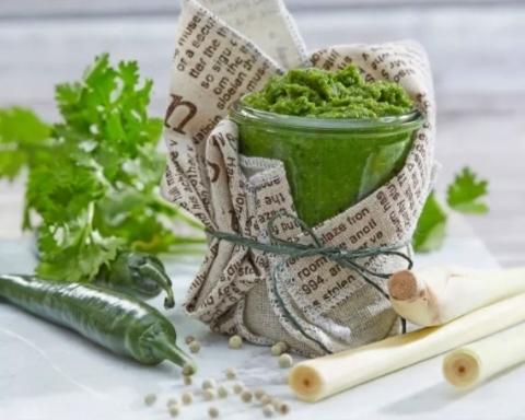 泰式绿咖喱酱（百味之源-多用途特色酱料TM5