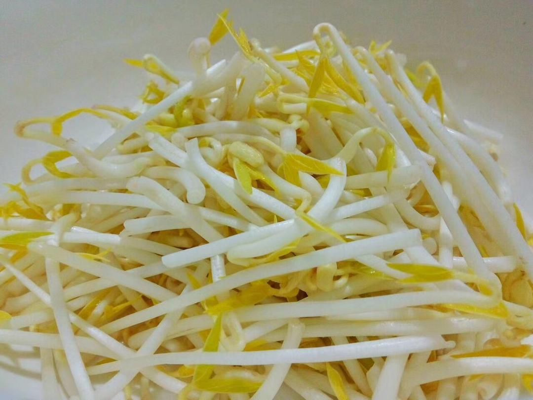 自发豆芽（可乐瓶发豆芽0失败！）