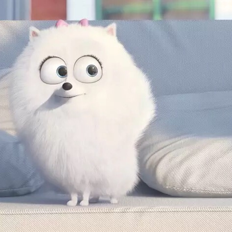 小忘记呀