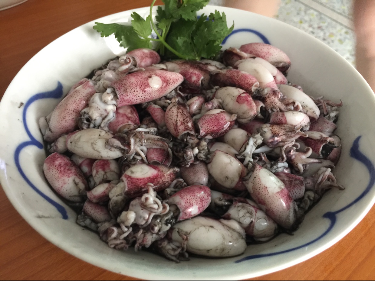 郑小厨的菜做的白灼鱿鱼仔