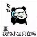 爱喝酒的茶茶