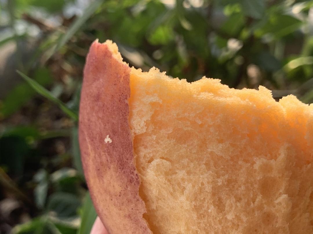 紫薯馒头红薯馅