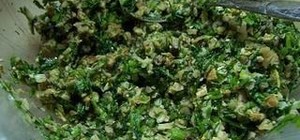 素馅儿饺子的封面