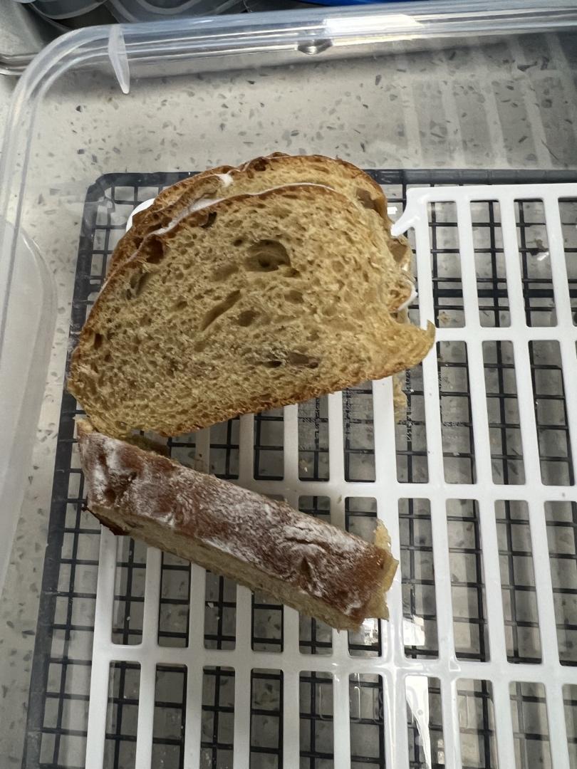 全麦核桃红枣软欧