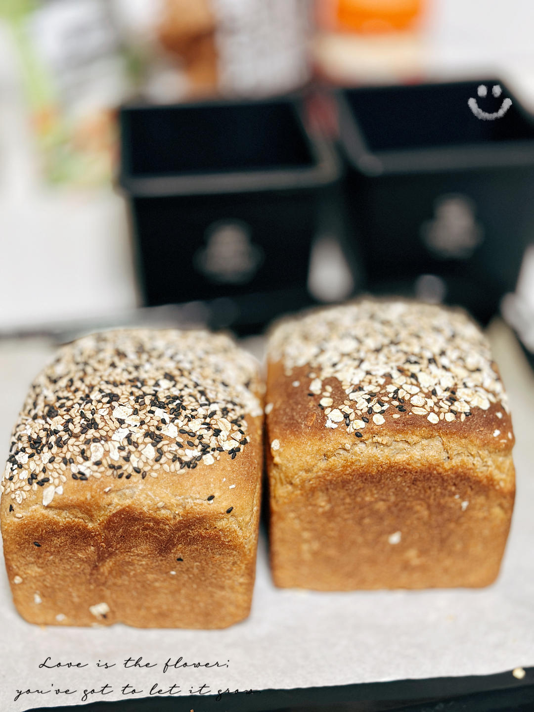 蜂蜜燕麦全麦吐司 100%全麦 波兰种