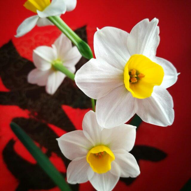 霍霍的深夜厨房