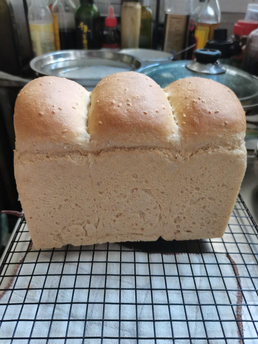 双种芝麻全麦吐司 100%全麦 烫种+波兰种